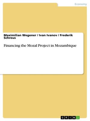 cover image of Financing the Mozal Project in Mozambique